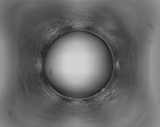 X0000112181348200908071317