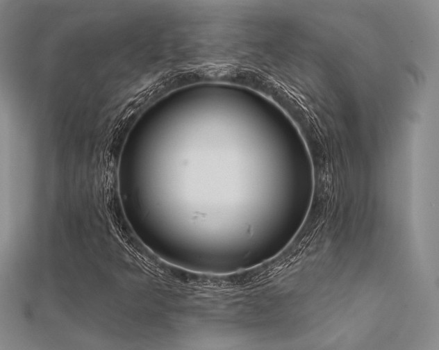 X0000112181349200908071317