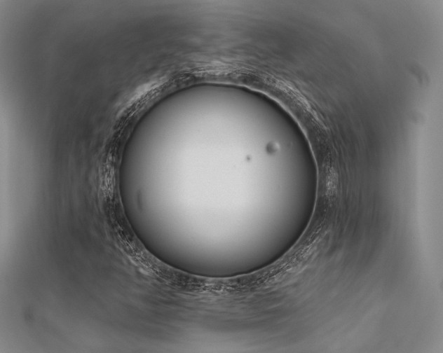 X0000112181350200908071317