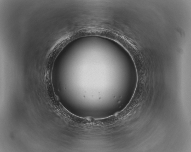 X0000112181351200908071317