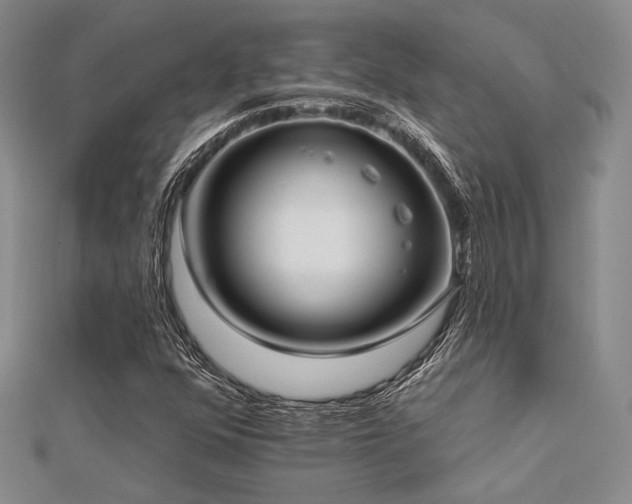 X0000112181352200908071317