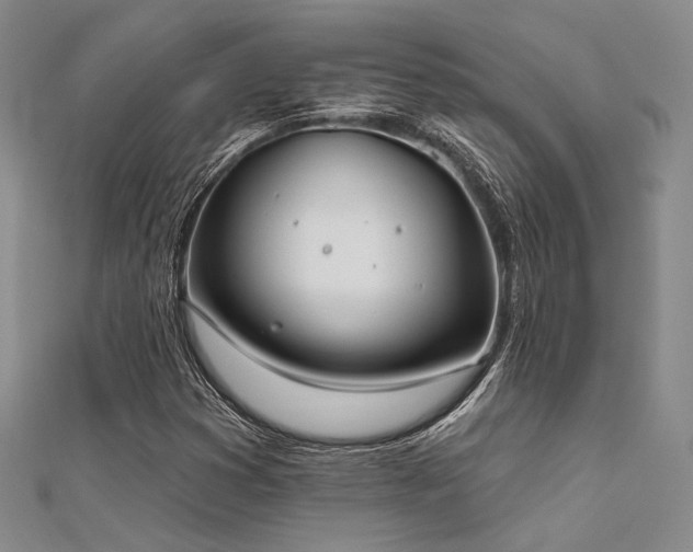 X0000112181353200908071317