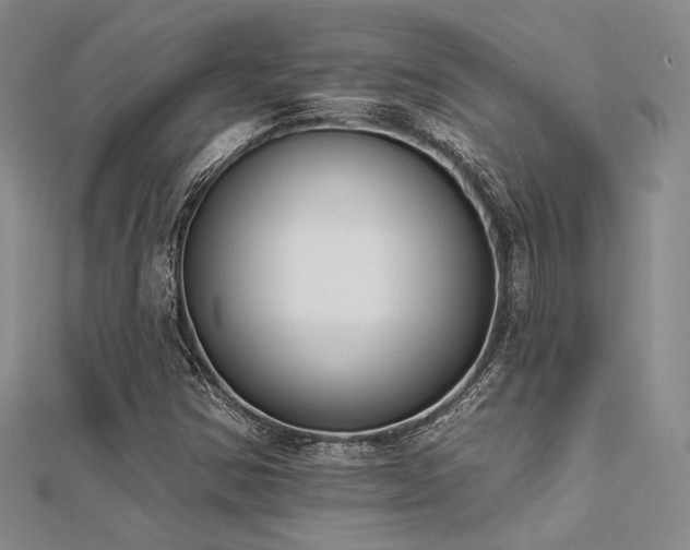 X0000112181354200908071317