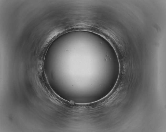 X0000112181355200908071317