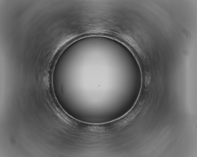 X0000112181356200908071317