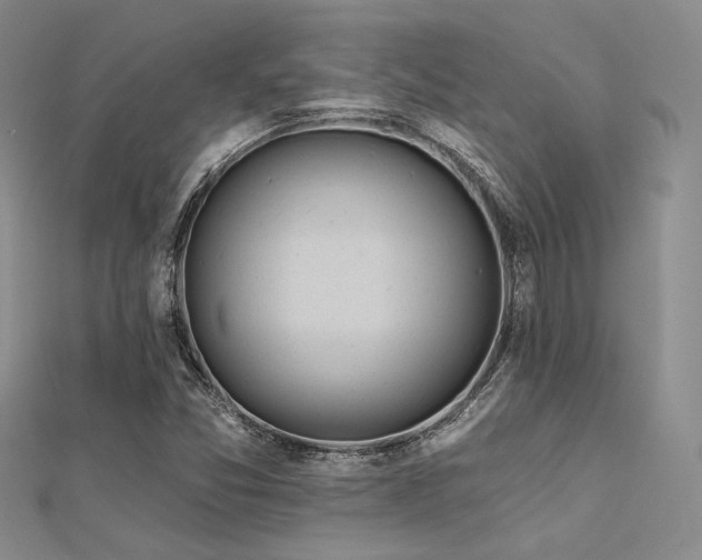 X0000112181357200908071317