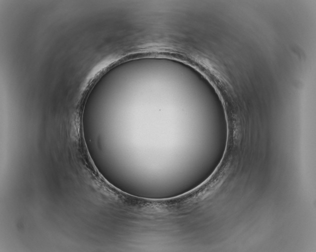 X0000112181358200908071317