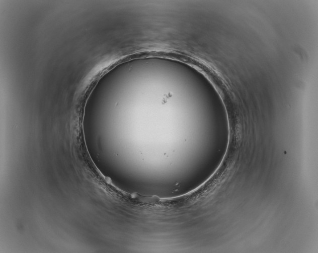 X0000112181359200908071317