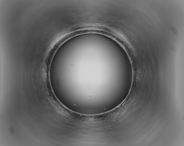 X0000112181360200908071317