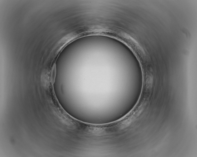 X0000112181361200908071317