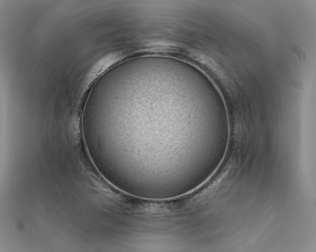 X0000112181362200908071317