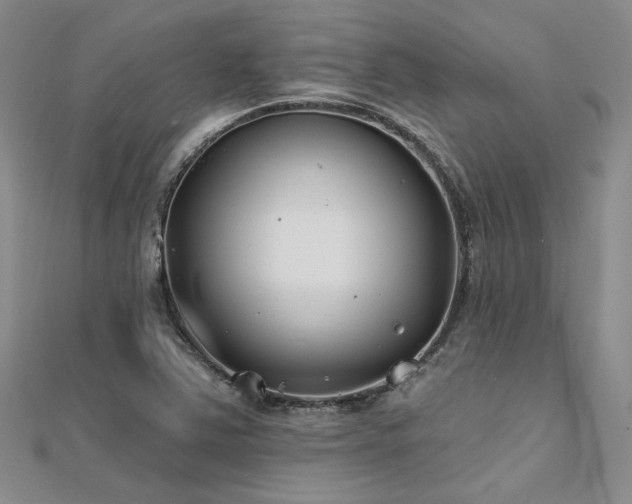 X0000112181363200908071317