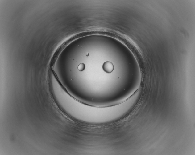 X0000112181364200908071317