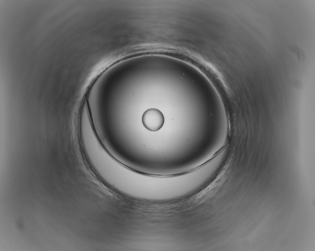 X0000112181365200908071317