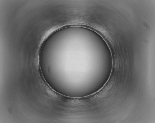 X0000112181366200908071317