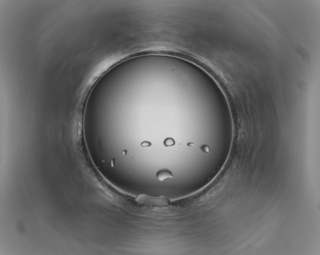 X0000112181367200908071317