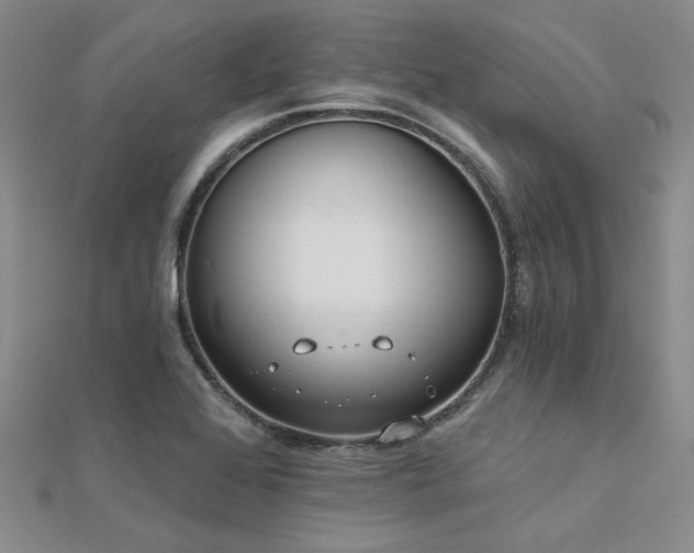 X0000112181368200908071317