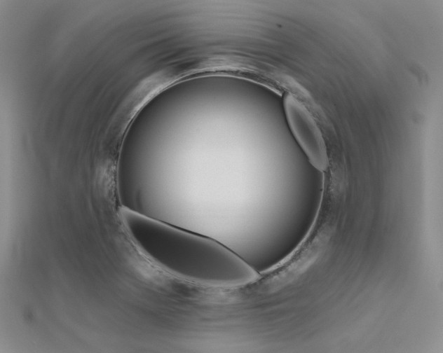 X0000112181369200908071317