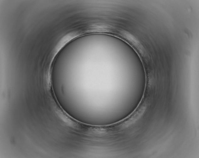 X0000112181370200908071317