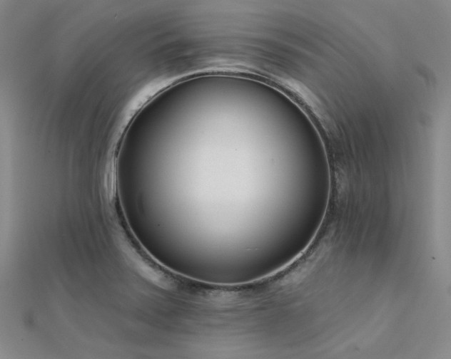 X0000112181371200908071317