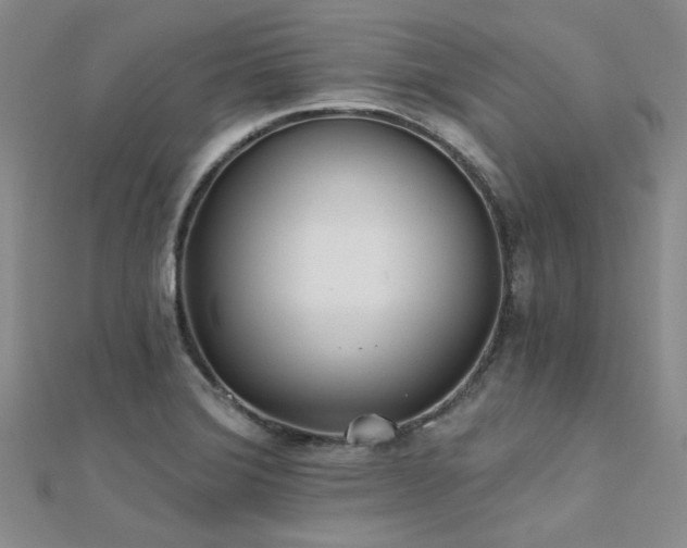 X0000112181372200908071317