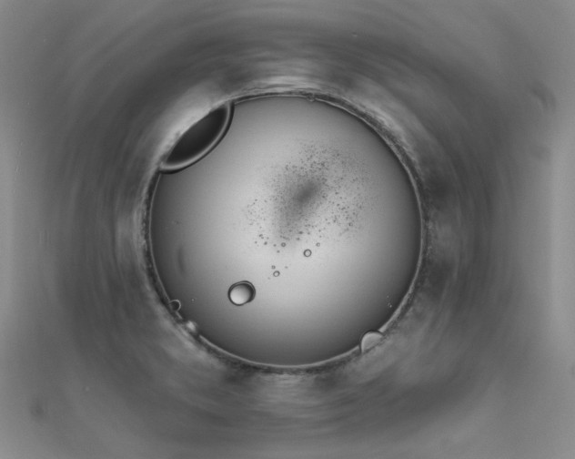 X0000112181373200908071317