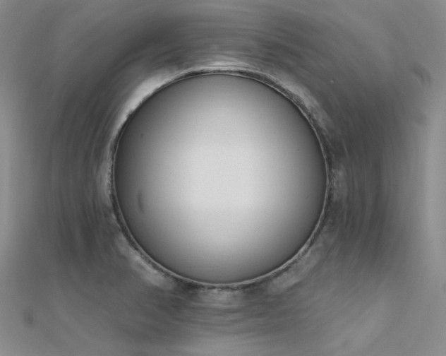 X0000112181374200908071317