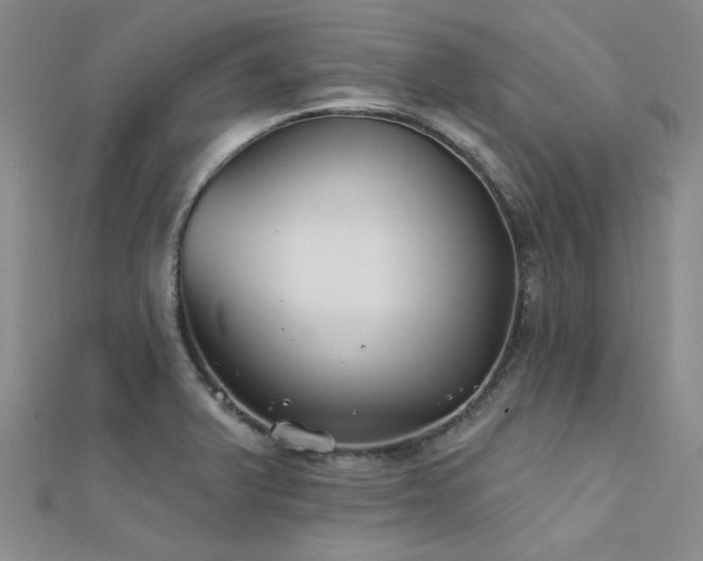 X0000112181375200908071317