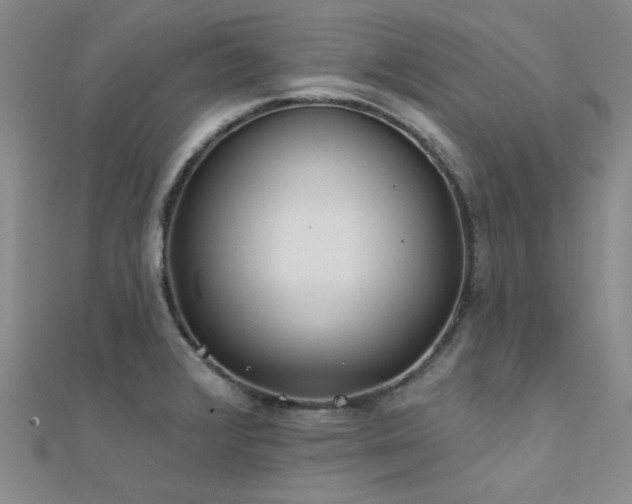 X0000112181376200908071317