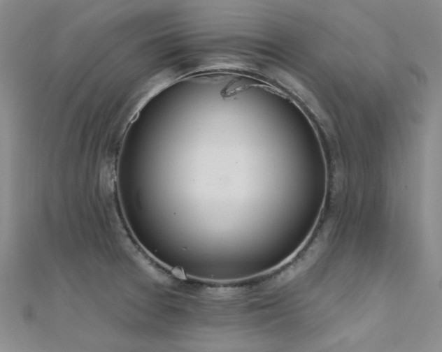 X0000112181377200908071317