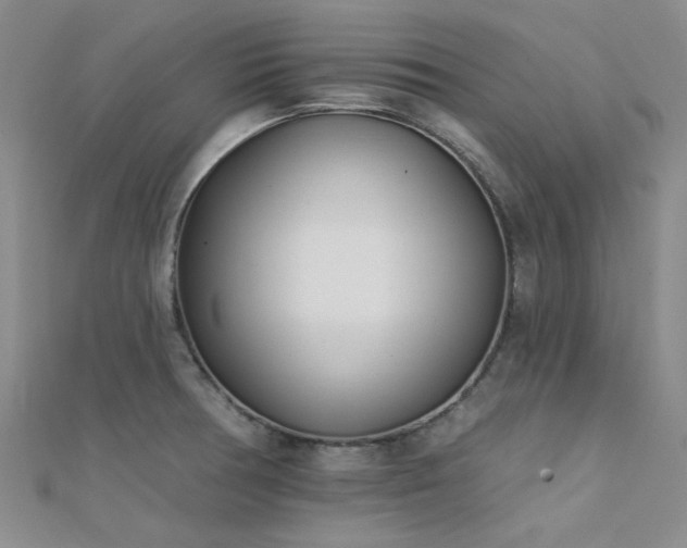 X0000112181378200908071317