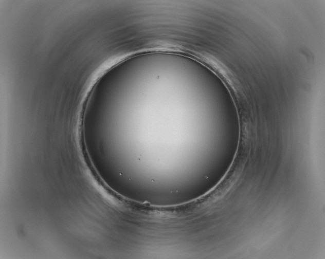 X0000112181379200908071317