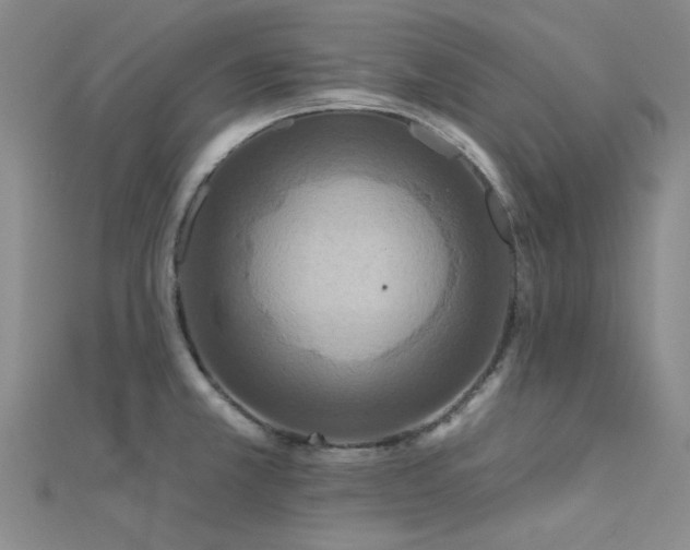 X0000112181381200908071317