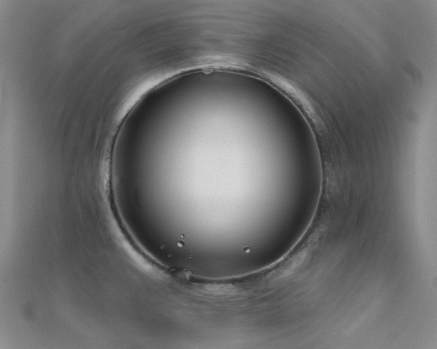 X0000112181383200908071317