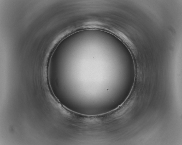 X0000112181384200908071317