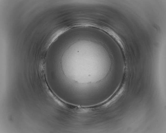 X0000112181385200908071317