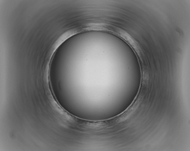 X0000112181386200908071317