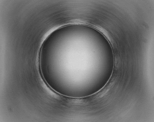 X0000112181387200908071317