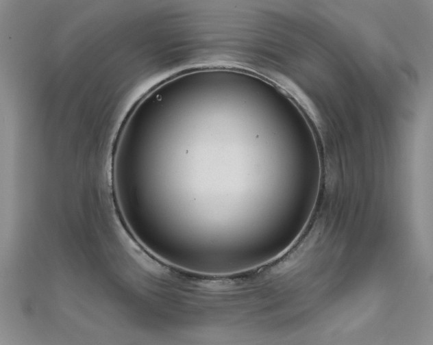 X0000112181388200908071317