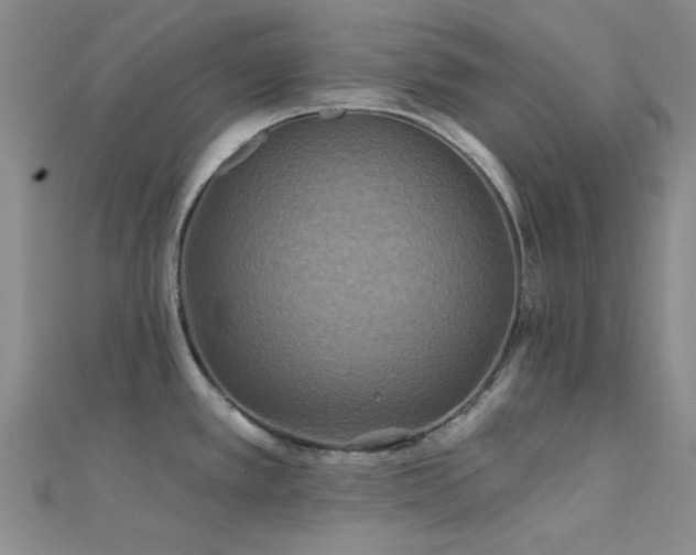 X0000112181389200908071317