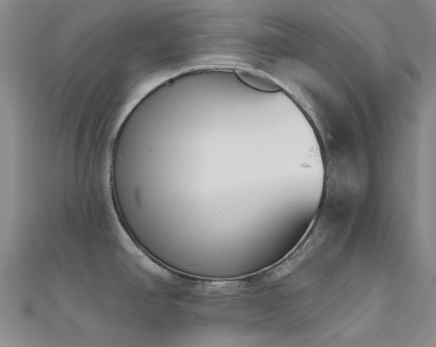 X0000112181390200908071317