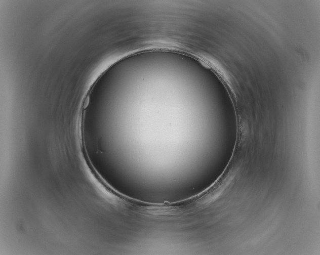 X0000112181391200908071317