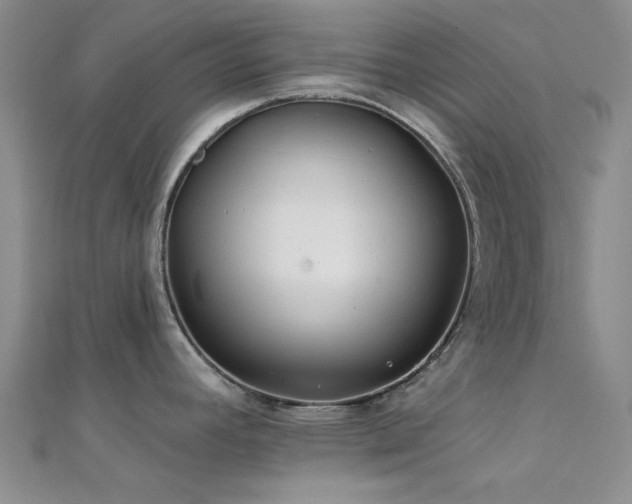 X0000112181392200908071317