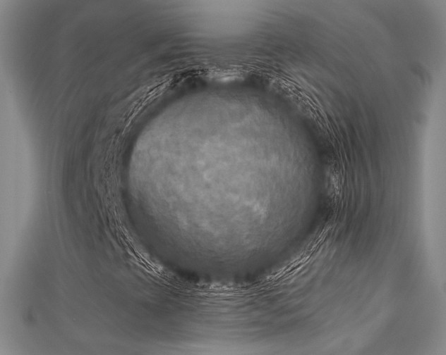 X0000112181393200908071316