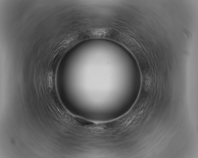 X0000112181394200908071316