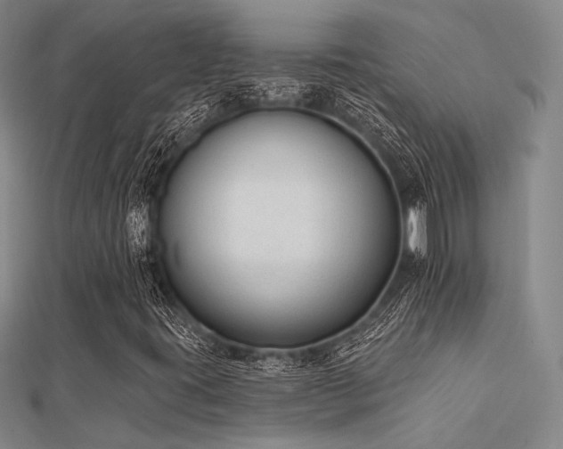 X0000112181395200908071316