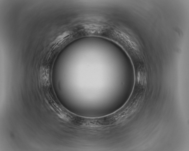 X0000112181396200908071316