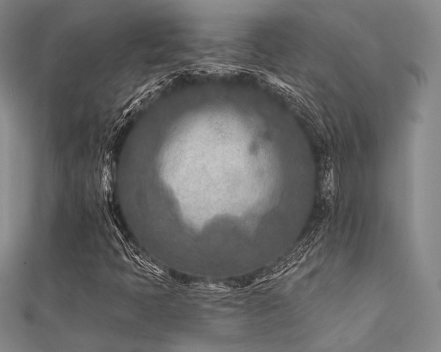 X0000112181397200908071316