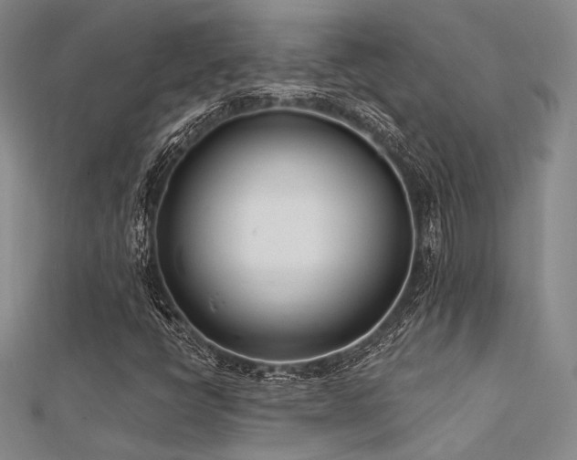 X0000112181398200908071316