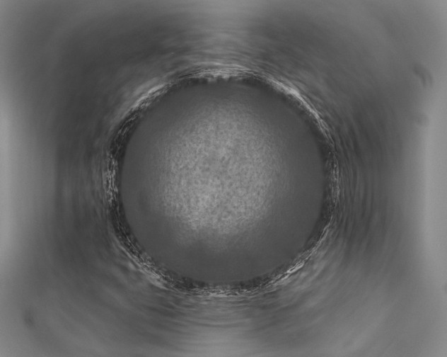 X0000112181399200908071316